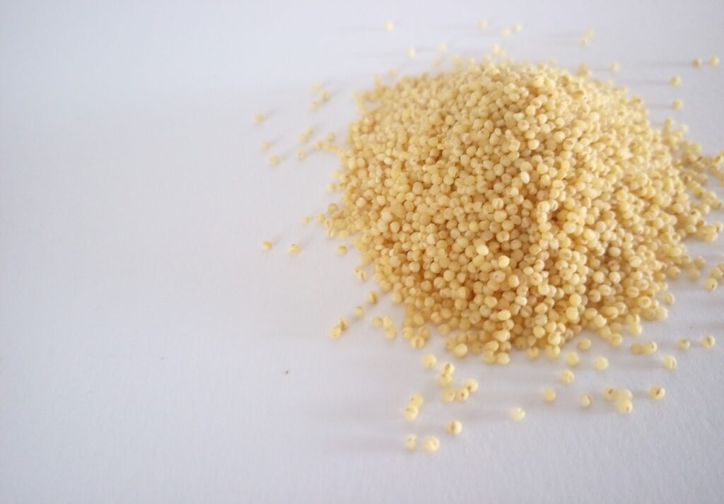 millet, food, grain-3879976.jpg