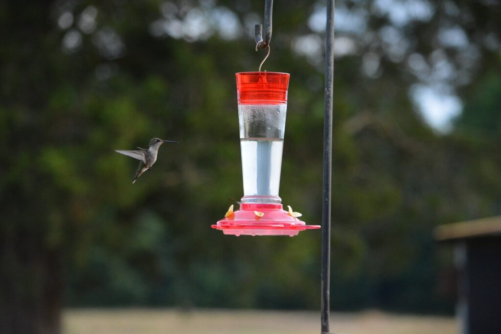 You can easily attract hummingbirds with a nectar feeder.