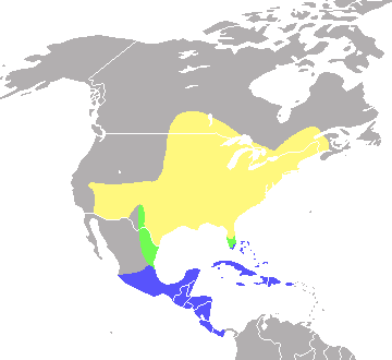 Indigo Bunting Range Map Cropped