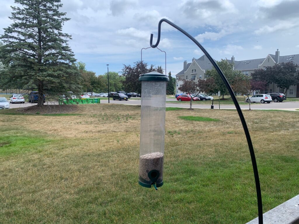 A picture of a squirrel proof feeder on a hanging pole