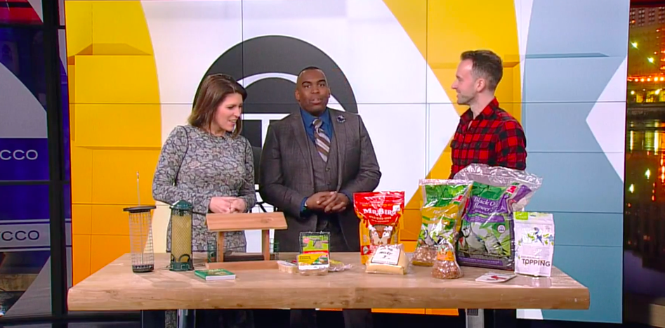 A WCCO TV segment focused on bird feeding. 