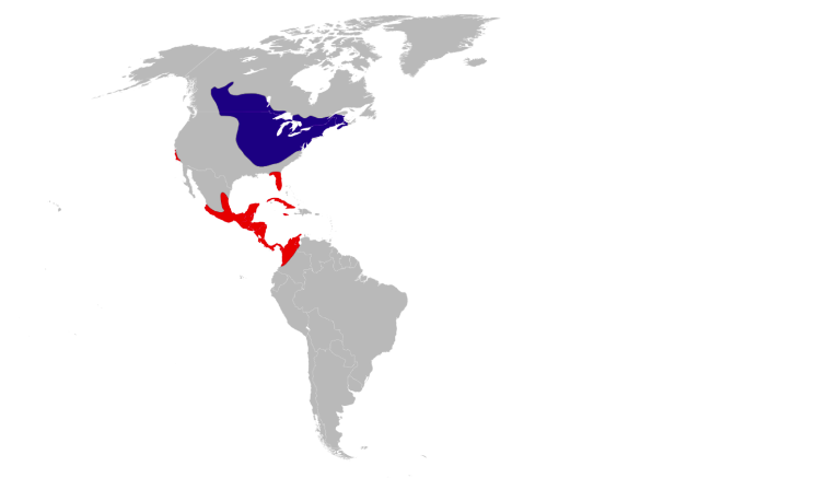 Baltimore Oriole Migration Range Map