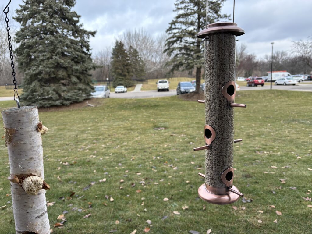 A picture showing the iBorn tube bird feeder, one of the cheapest bird feeders I could find on Amazon. 