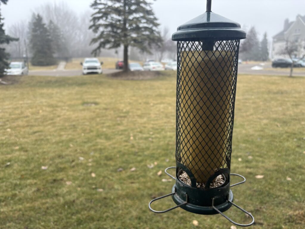 A squirrel-buster squirrel proof bird feeder hanging from a balcony with sunflower seed. 