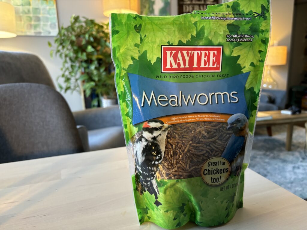 A bag of Kaytee Mealworms from Amazon.