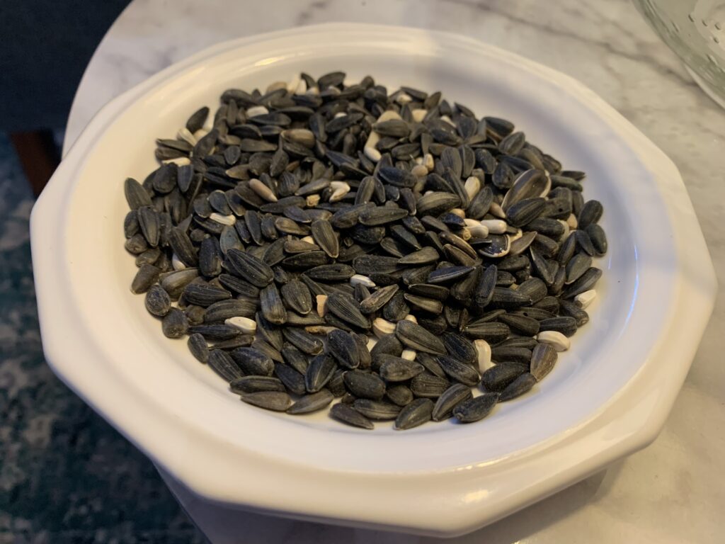 A picture of sunflower and safflower bird seed mix on a small plate. 