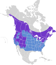 The range map for Red-Breasted Nuthatches. 