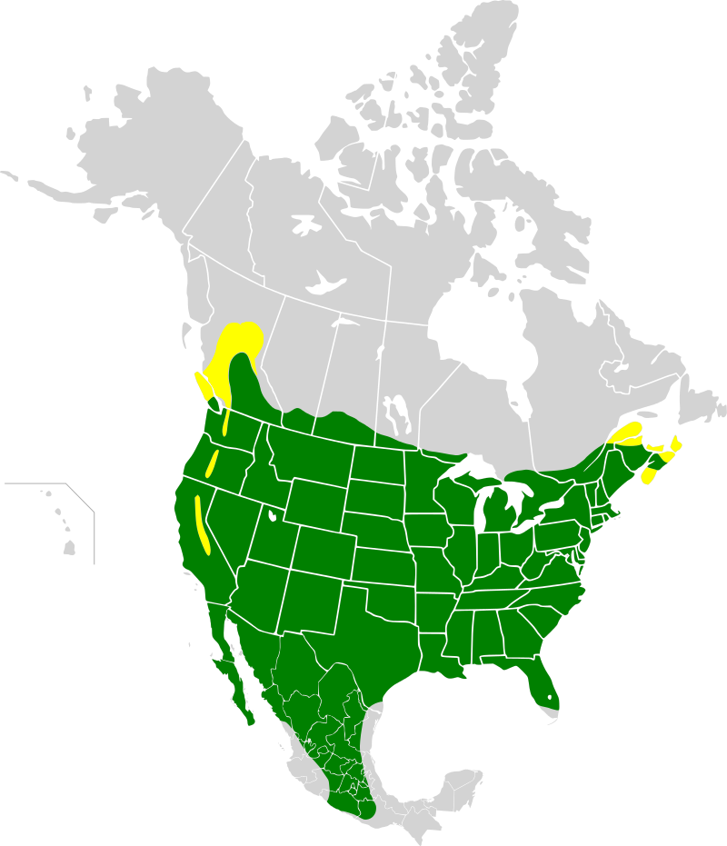The range map for House Finches.