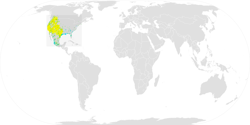 A range map for the Black-Chinned Hummingbird
