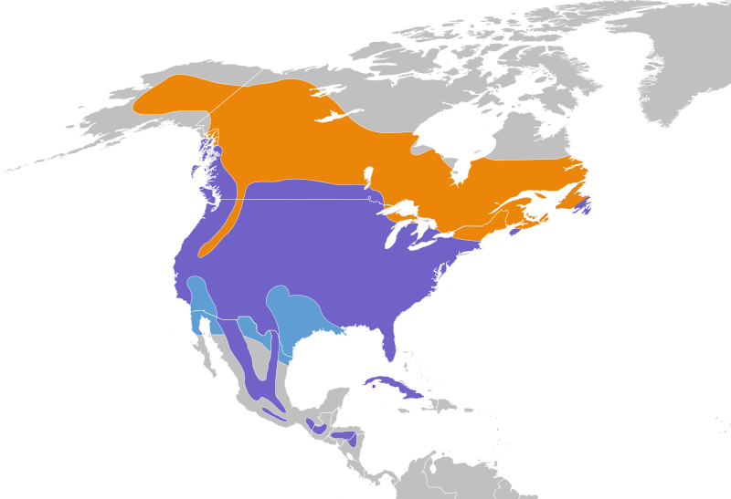 The range map for Northern Flickers.