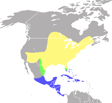 A map showing the range of the Indigo Bunting.