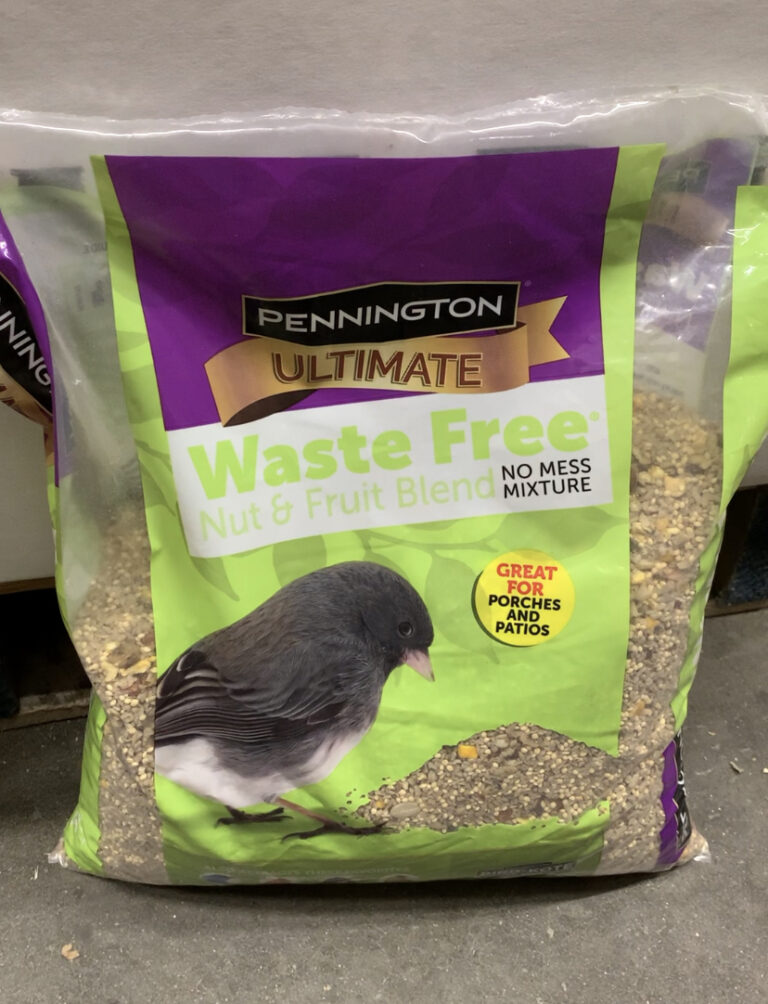 The Best And Worst Bird Seed At Target   BIRD BITES