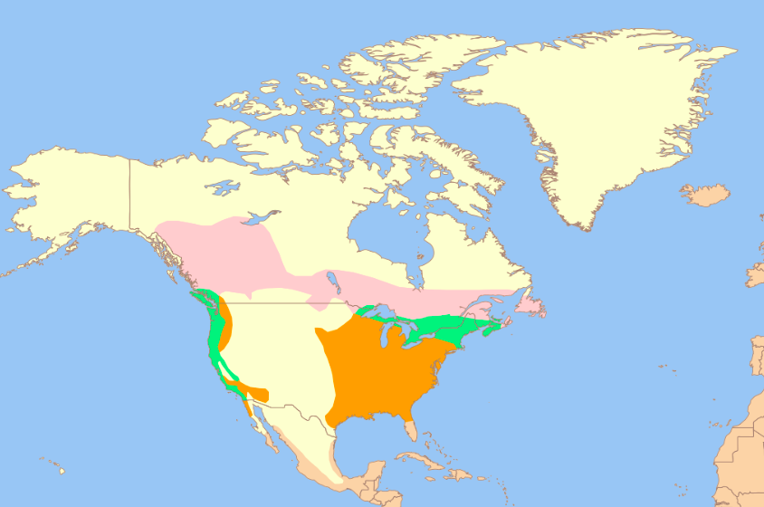 The range map for Purple Finches.