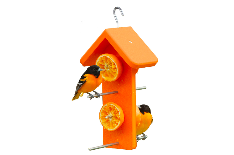 Amazon Baltimore Oriole Feeders - Kettle Moraine Recycled Double Oriole Orange Fruit Feeder