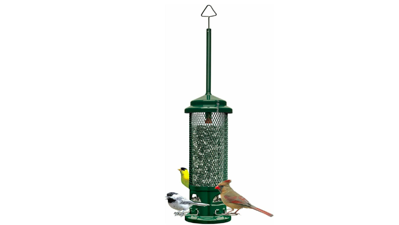 Squirrel Buster Legacy Squirrel-proof Bird Feeder w/4 Metal Perches, 2.6-pound Seed Capacity