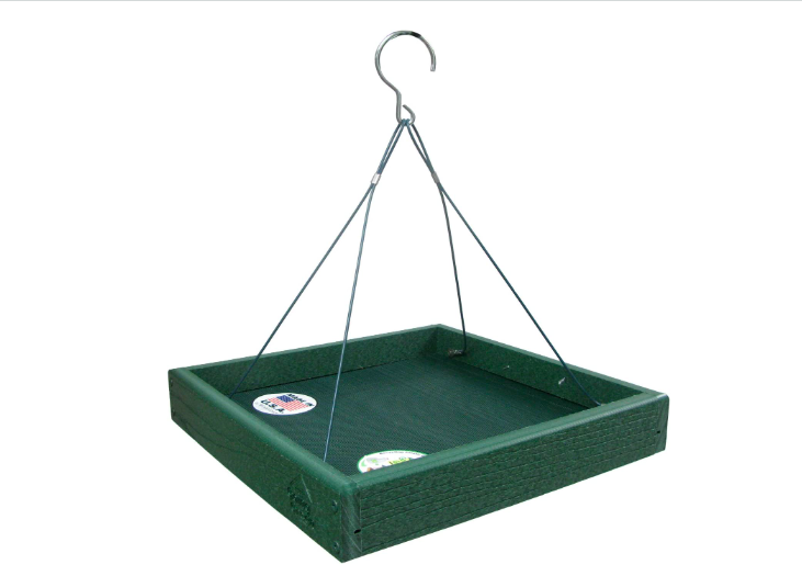 A hanging tray bird feeder is a great option for Blue Jays.
