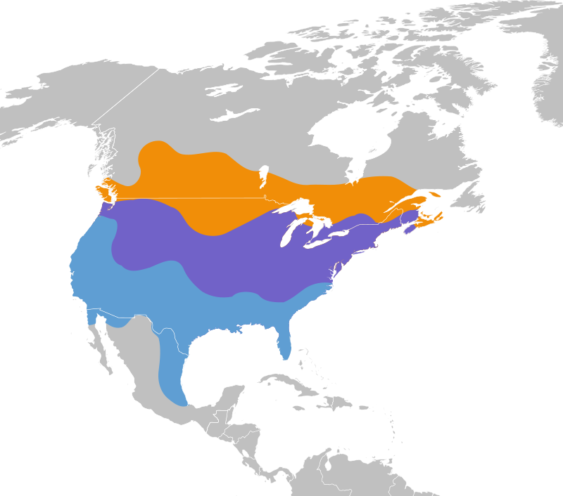 A map of North America showing the range of the American Goldfinch. 