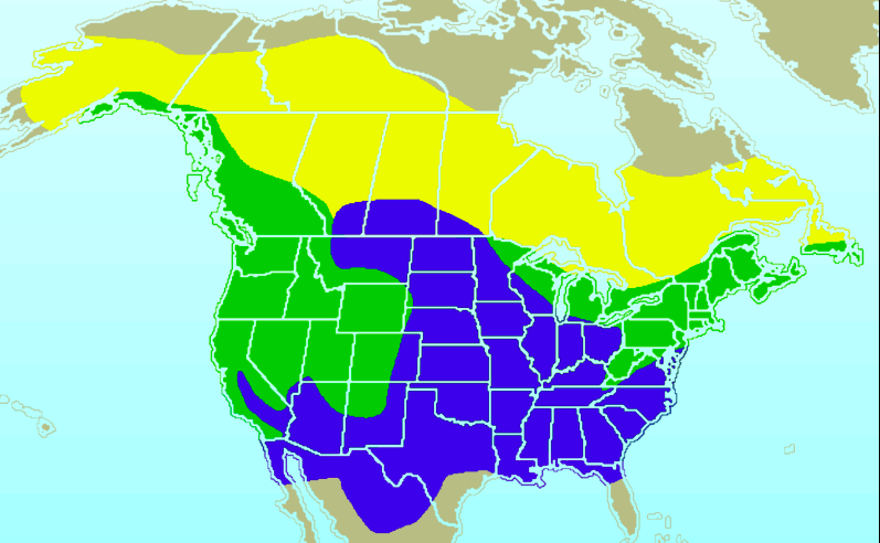 The Dark-Eyed Juncos range map across North America from Wikipedia. 