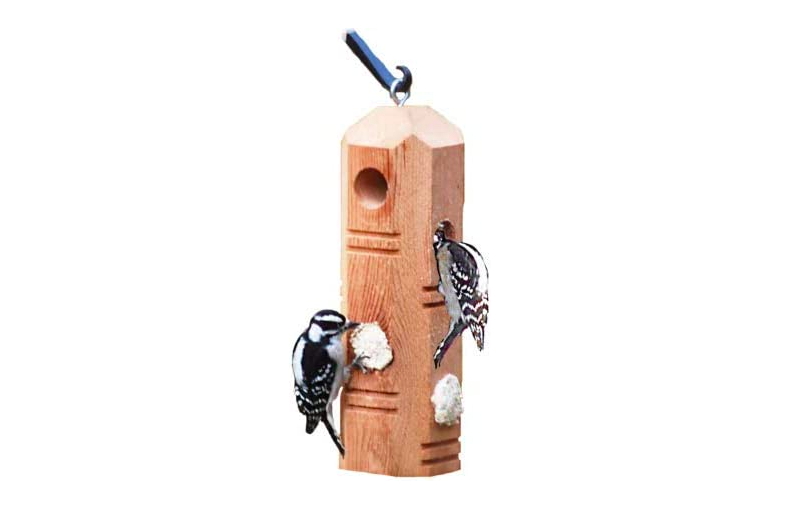 A picture of a suet log bird feeder for sale on Amazon. 