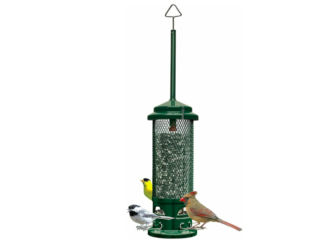 Squirrel Buster Legacy Squirrel-Proof Bird Feeder 