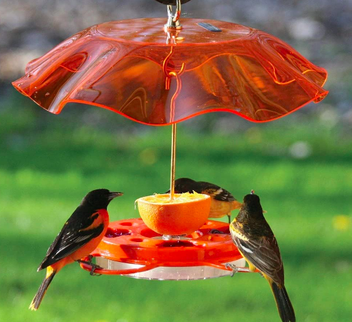 Birds Choice Oriolefest Feeder w/Weatherguard