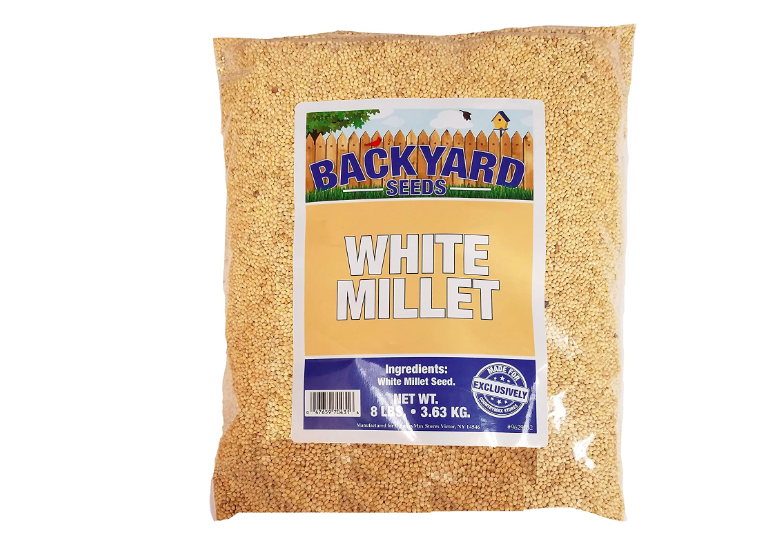 Backyard seeds white millet for bird feeding.