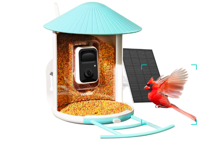 NETVUE Birdfy Lite- Smart Bird Feeder Camera