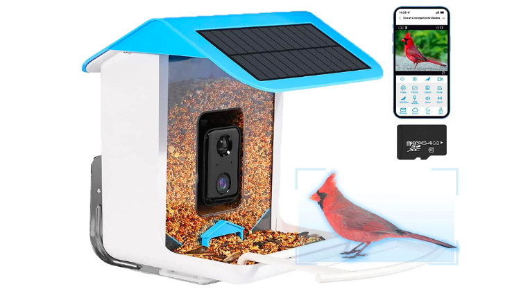 Smart Bird Feeder with Camera