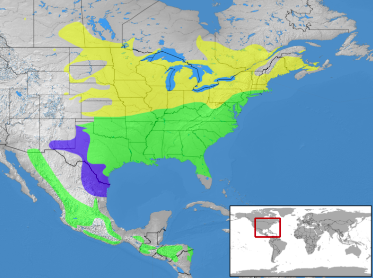 A map showing the range of the Eastern Bluebird across North America.