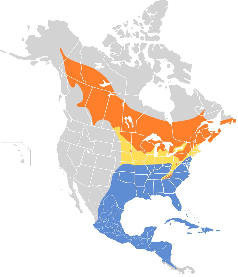 A map showing the range of Yellow-Bellied Sapsuckers.