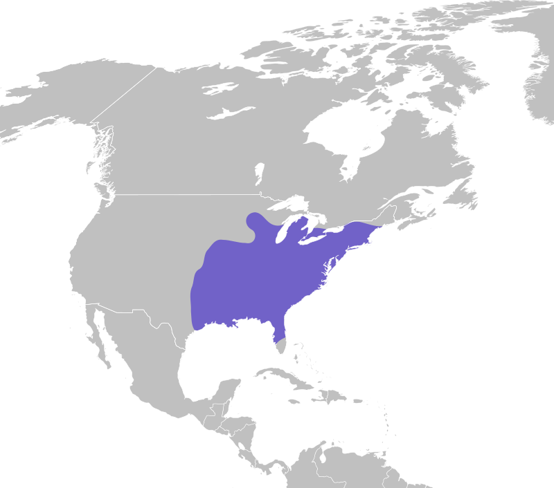 A map showing the range of the Tufted Titmouse. 