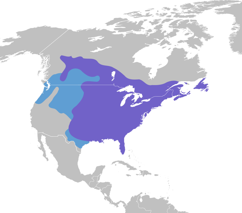 A map showing the range of Blue Jays.