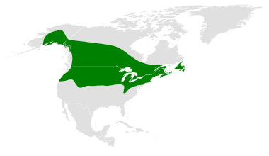 A map showing the range of the Black-Capped Chickadee.  