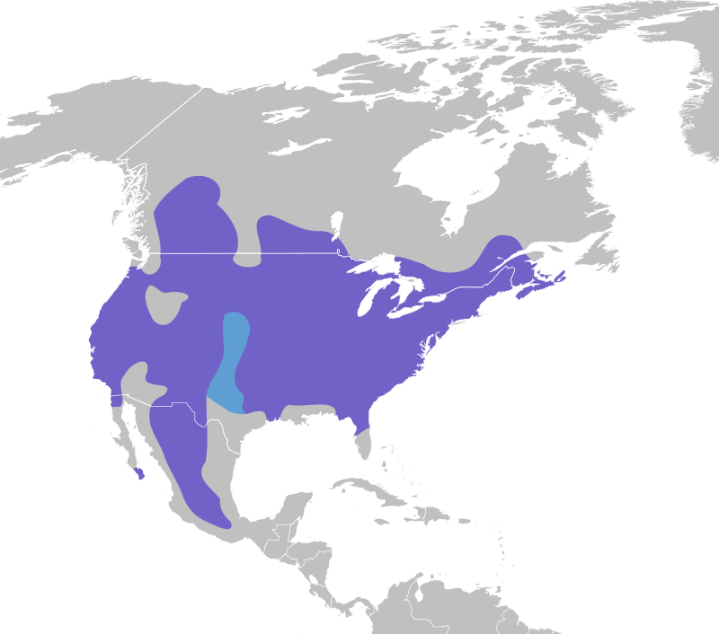 The range map of the White-Breasted Nuthatch.
