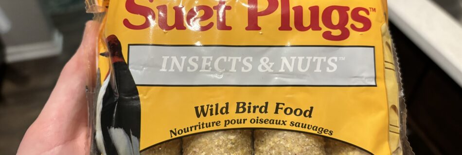 A bag of suet plugs for bird feeding