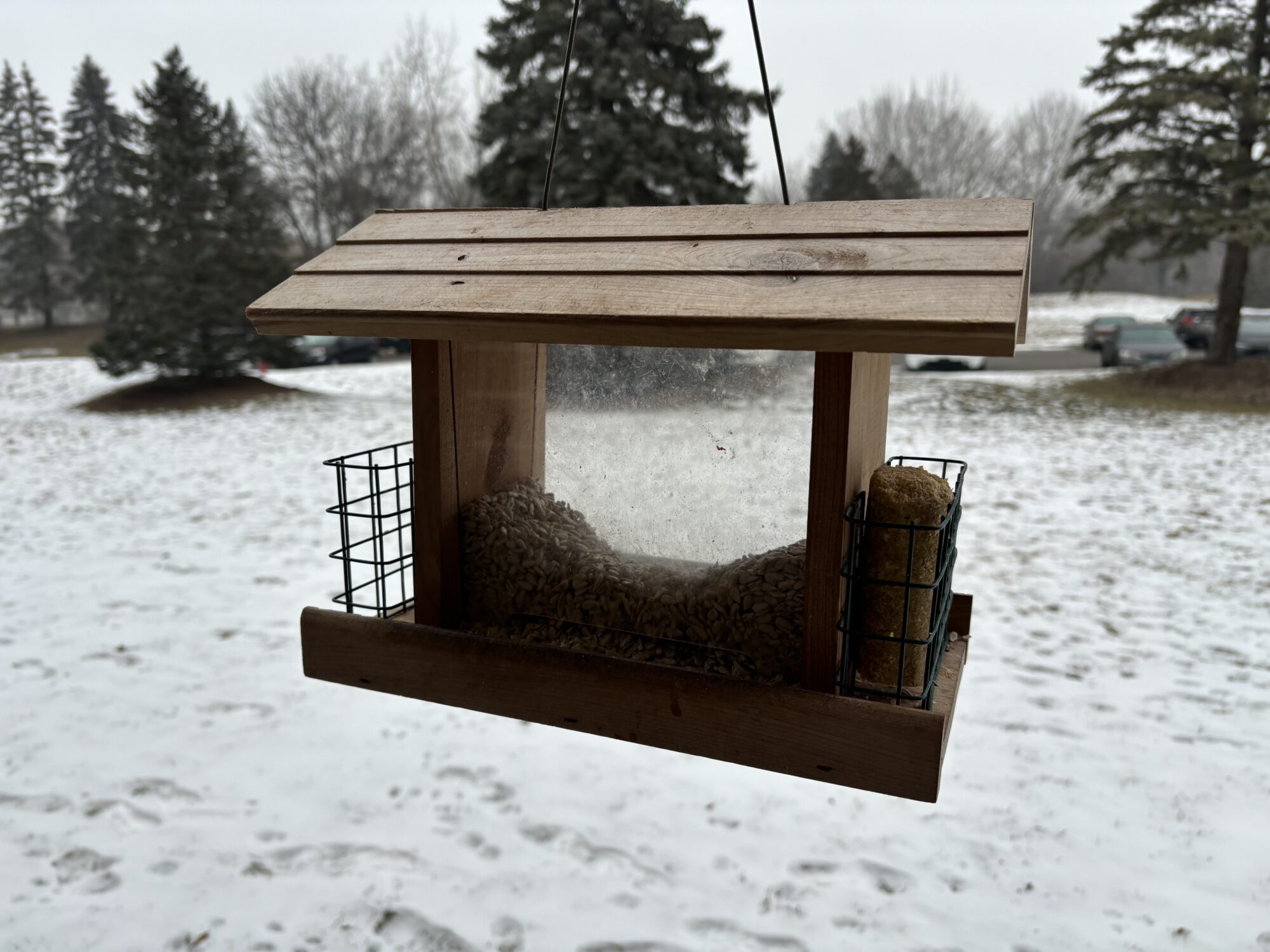A hopper bird feeder with space for suet cakes.