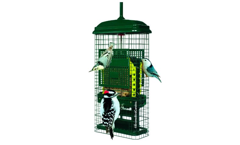The Squirrel-Buster Squirrel Proof Suet Feeder for sale on Amazon. 