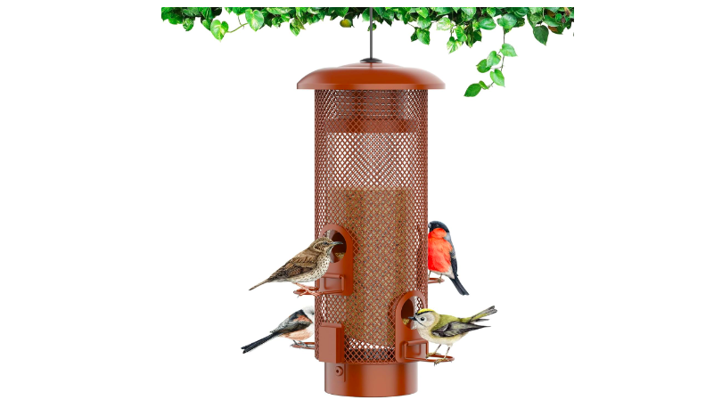 A Metal Squirrel-Proof Bird Feeder for sale on Amazon. 