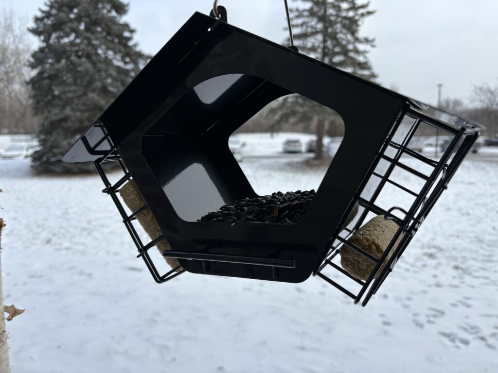 A hopper bird feeder out in the winter with suet and sunflower seed. 