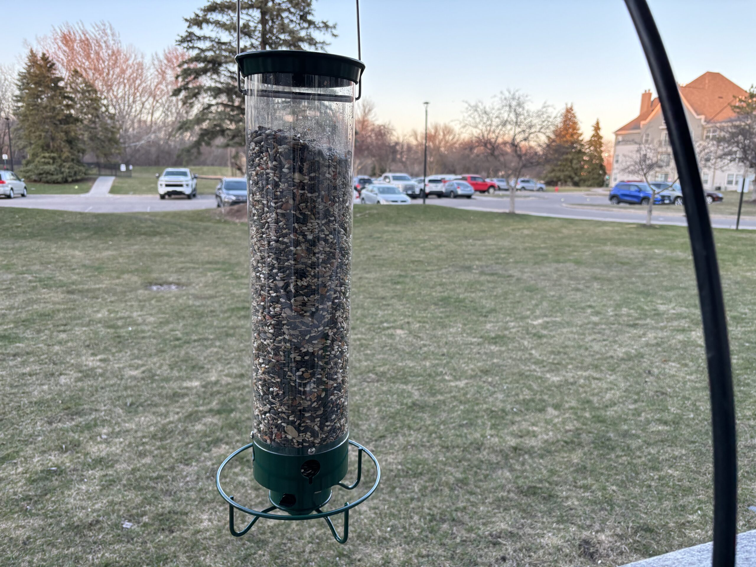 Is a $150 Bird Feeder Worth it? Reviewing the Squirrel-Proof Droll Yankee Flipper