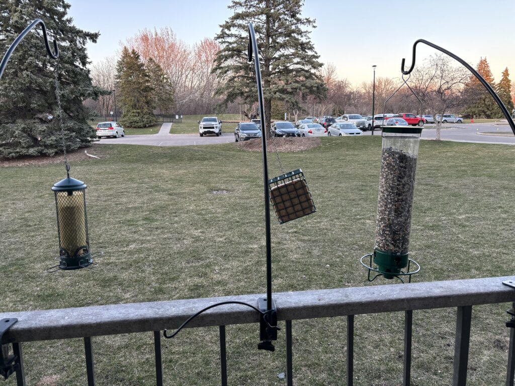 The Droll Yankee Flipper Bird Feeder hanging with my other squirrel-proof bird feeder and a suet cake. 