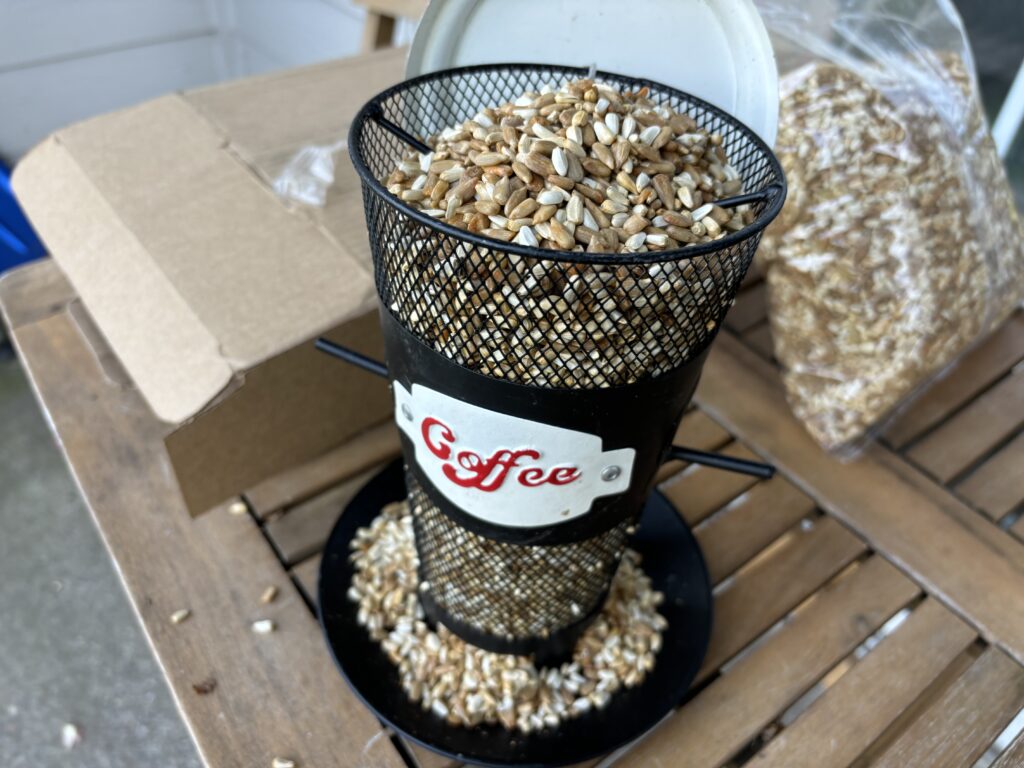 Spicy bird seed in a coffee cup style bird feeder. 